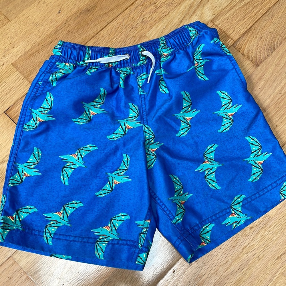 Hanna Anderson Boys Swim Trunks